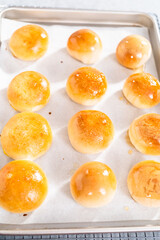 Dinner rolls