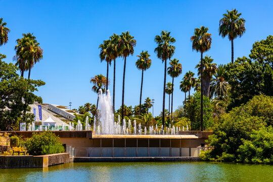 Parc Phoenix Park botanic and zoology garden with greenhouse and outdoor flora in Ouest Grand Arenas district of Nice on French Riviera in France