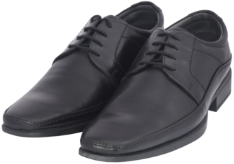 Pair of shoes for gentleman