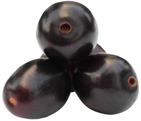 Fresh Blackberry