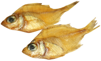 Dried Elongate glassy perchlet