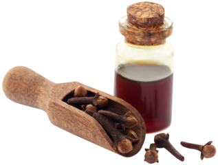 Fresh clove with oil in a jar