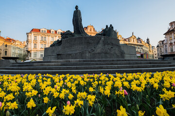 Prague, Old Town Square, monument to Jan Hus in spring time. Flowers of yellow daffodils on the square in Prague. - 580851433