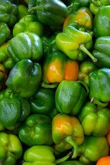 Plakat Screensaver with green bell pepper. Close-up image..