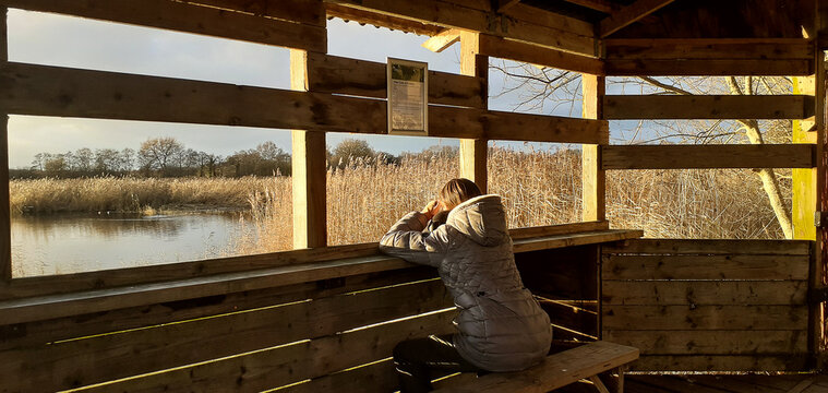 Girl seats on a bench. Bird watching hut. Somerset. Beautiful sunset. Golden hour. 