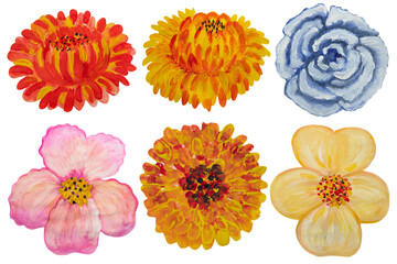 Set of watercolor flowers isolated on white background.