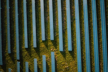 Solar panel rows aerial view. Photovoltaic panels farm from the sky, diagonal rows for renewable solar energy. Reducing  carbon footprint concept, clean green energy for the future.