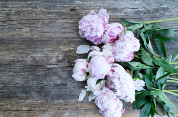 Fresh peonies flowers over old wood background, summer floral background