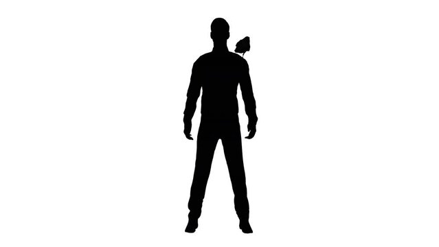Man with bird on shoulder silhouette
