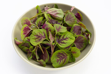 Fresh green red amaranth. Organic vegetables