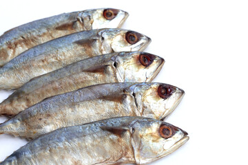 Salted fish on white background.