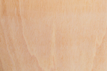 Light rough textured cut surface of an African tree. Wood background or blank for design