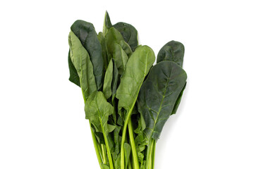 Fresh spinach on white background