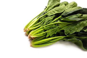 Fresh spinach on white background