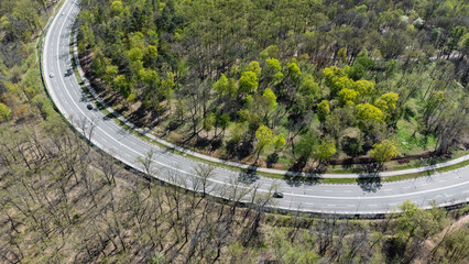 Fly above spring road curve in greenery. Cars driving sunny highway surrounded by forest with young green leaves. Aerial look down view - Powered by Adobe