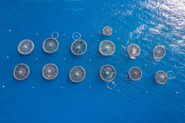 Aerial view of fish farm in the Atlantic Ocean