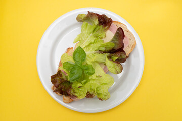 Tasty toast sandwiches with cheese on plate