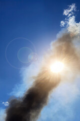 the sun in the sky through a column of smoke from a large fire among forests and dead wood
