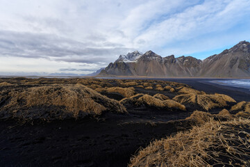 chemin de sable noir et d'herbe donnant sur une plage avec de joli vague devant une montagne enneigé en Islande