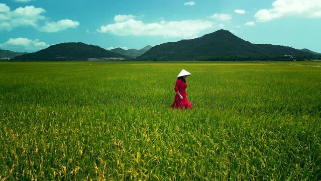 A Vietnamese woman in a red traditional dress walks in a rice field against the backdrop of high mountains at sunset. 4K