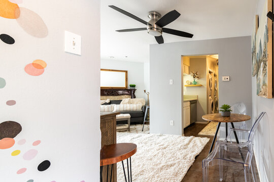 Entry into a small apartment, decorated, neutral, natural light
