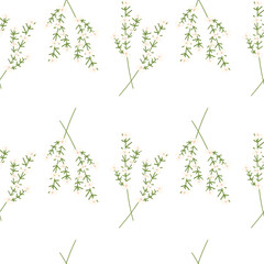 Abstract image of a blossoming branch of a cherry tree with flowers, buds, and leaves. Hello spring