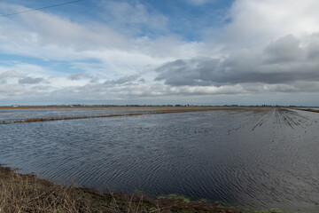 Farmland flooding in the California delta in this year winter storms