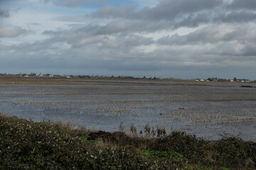 Farmland flooding in the California delta in this year winter storms