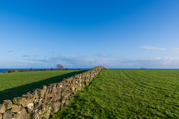 Fototapeta na wymiar A stone wall divides two fields of green grass in Northern Ireland