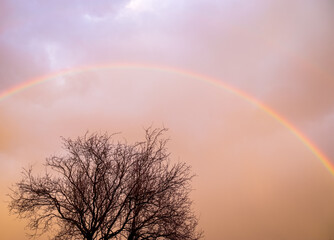 Stunning natural rainbows in the sky of northern germany.