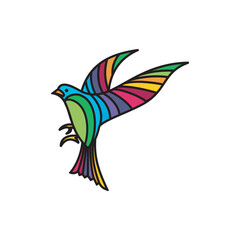  Bird Logo Colorfull Design Illustration