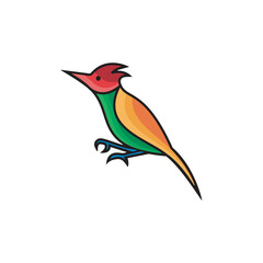  Bird Logo Colorfull Design Illustration