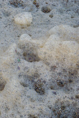 bubbles in the ocean