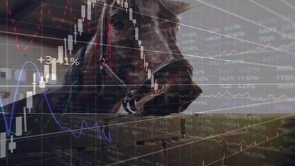 Animation of horse, binary coding, financial data processing over globe - Powered by Adobe