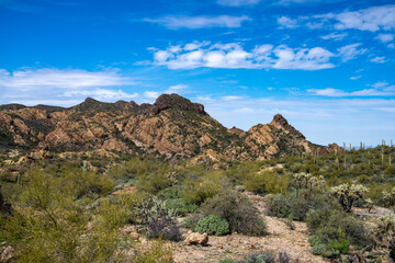 Fototapeta na wymiar Superstition Mountains in Central Arizona, America, USA.