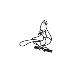 cardinal bird monoline icon vector