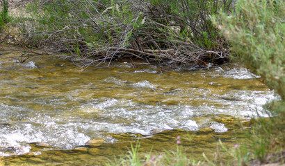 Camina, como el agua corre por el rio.