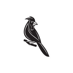 vector silhouette of cardinal bird