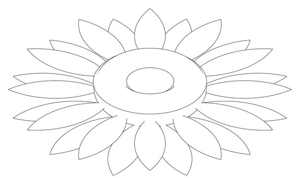 sunflower: black and white graphic design to be able to color it for schools, science lesson, workshops, courses, educational activities, creative drawings.