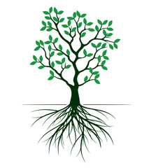 Shape of Green Tree with Leaves and Roots. Vector outline Illustration. Plant in Garden.
