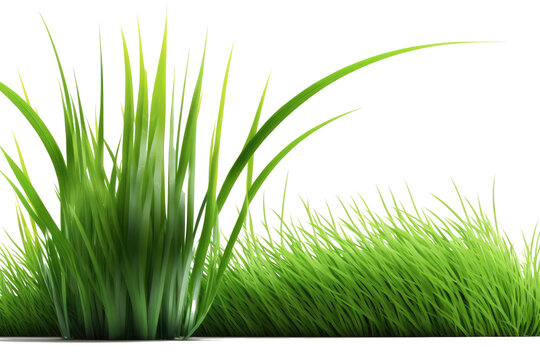 green grass, png stock photo file cut out and isolated on a transparent background - Generative AI