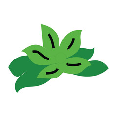 leaves plant icon image vector illustration design green color. The fresh leaves are arranged to resemble a crown or headdress. natural design illustration
