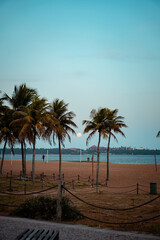Praia de camburi ao anoitecer com vista da lua entre as palmeiras com ceu azul 