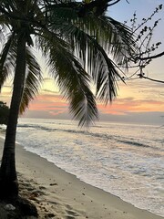 palm trees on the beach with sunset Magazine Beach Grenada