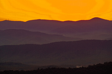 Stunning Silhouettes
