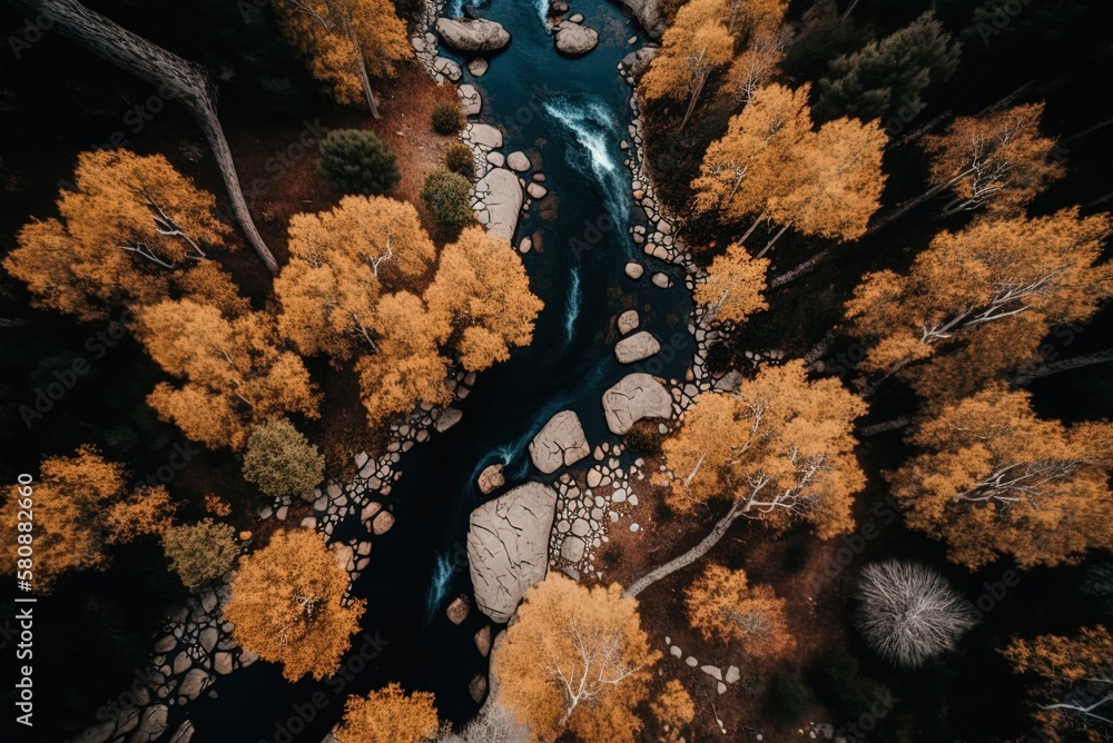 Poster the river runs through the heart of the brown-leafed trees in a forest from a high vantage point. ge