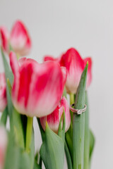 Naklejka premium Pink tulips and engagement rings with diamonds on white background. Background for Valentine's Day. Gift for Mother's Day, international Women's Day, March 8th. Spring Mock ups. Space for text