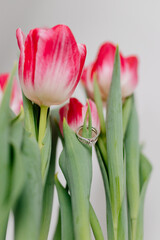 Pink tulips and engagement rings with diamonds on white background. Background for Valentine's Day. Gift for Mother's Day, international Women's Day, March 8th. Spring Mock ups. Space for text
