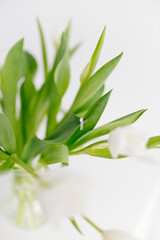 An engagement ring in white gold with a diamond lies in a bouquet of white tulips on white background. Gift for Women's Day, Valentine's Day. Beautiful spring background with green leaves. Mock up