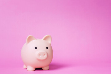 piggy bank on pink background. Finance and Investment Content